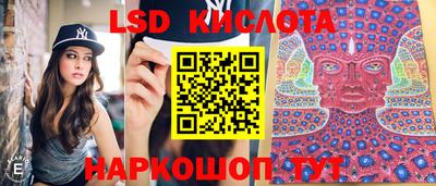ALPHA PVP Бийск