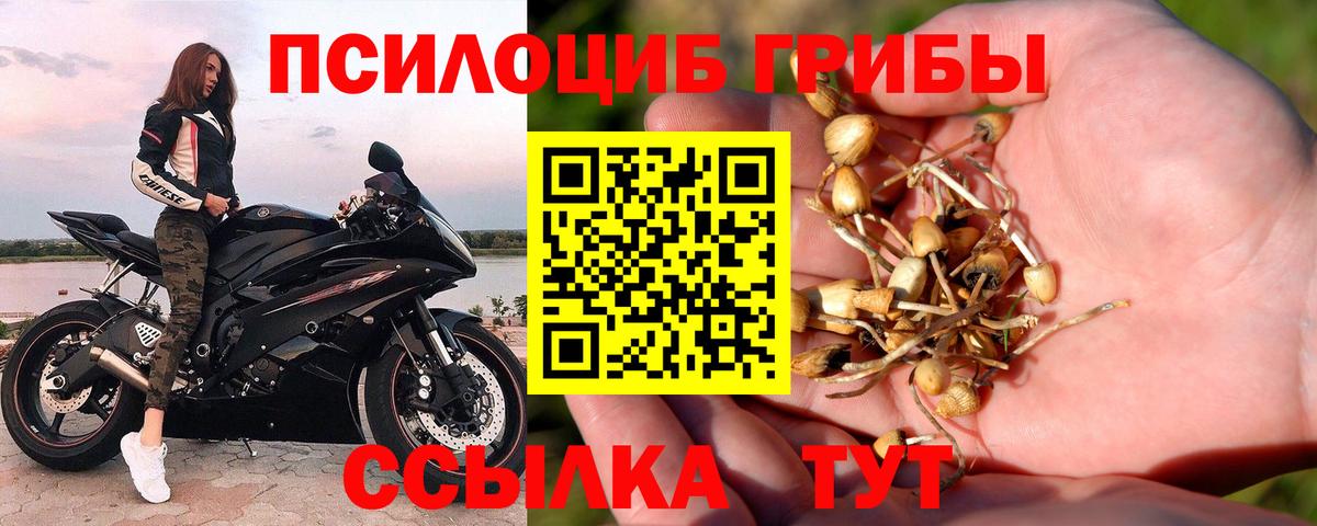Галлюциногенные грибы мухоморы Канаш